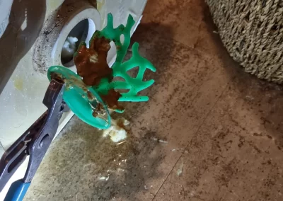Toy pulled from drain