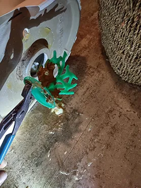 toy pulled from drain