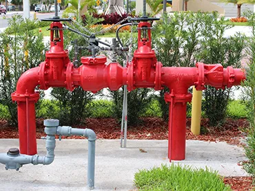 Commercial backflow preventer and check valve